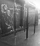 Coliseumbox- Crosstrainer, Entrenamiento Funcional Y Personal.